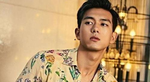 娱乐吃瓜老牌男星是谁呀,吃瓜群众热议的“老牌男星”究竟是谁？